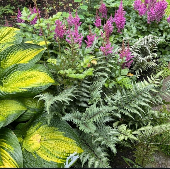 Meet your Posher, Sunsets - Picture 1 of 1